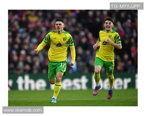 卢顿与诺维奇对决前瞻分析及比赛结果预测探讨 卢顿与诺维奇对决前瞻分析及比赛结果预测探讨